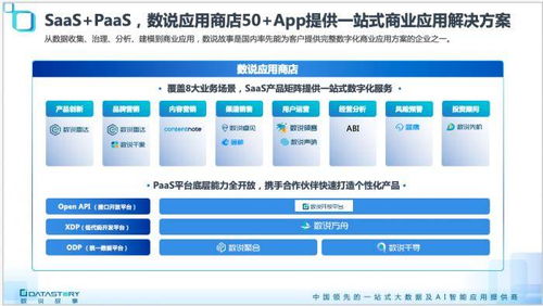 科學(xué)家創(chuàng)業(yè) 幫寶潔、伊利們用數(shù)據(jù)說(shuō)故事的數(shù)據(jù)處理服務(wù)